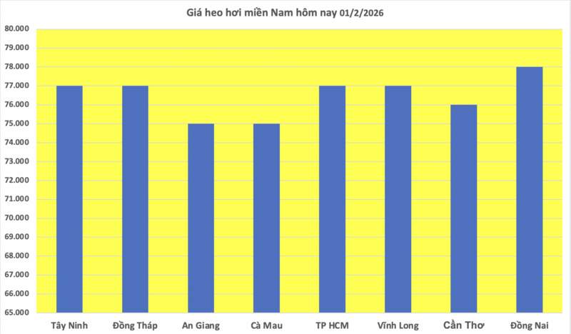 Giá heo hơi hôm nay 01/2/2026: Giữ đà bình ổn - 3