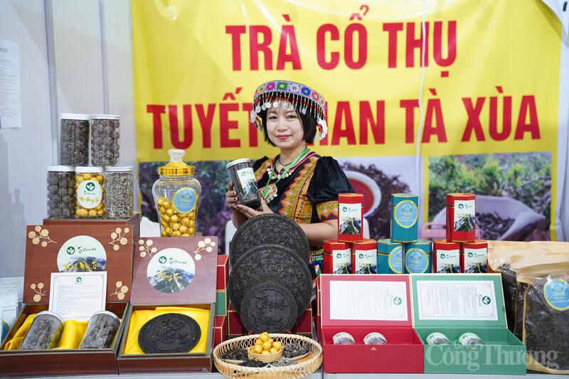 Gian hàng của HTX Trà cổ thụ Tà Xùa (Lào Cai)