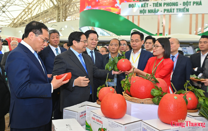 Thủ tướng bày tỏ ấn tượng với sản phẩm bưởi đỏ, loại cây ăn quả đặc sản có giá trị Okvip - liên minh giải trí #1 thế giới hà nội cao của địa phương. Bưởi đỏ Thanh Hóa có màu sắc đặc trưng, múi đỏ hồng, vị ngọt thanh, được người tiêu dùng ưa chuộng trong những năm gần đây. Thủ tướng đánh giá cao nỗ lực của tỉnh trong việc phát triển vùng trồng tập trung, áp dụng tiến bộ kỹ thuật vào sản xuất, từng bước Liên minh Okvip có bao nhiều trang thương hiệu cho sản phẩm.