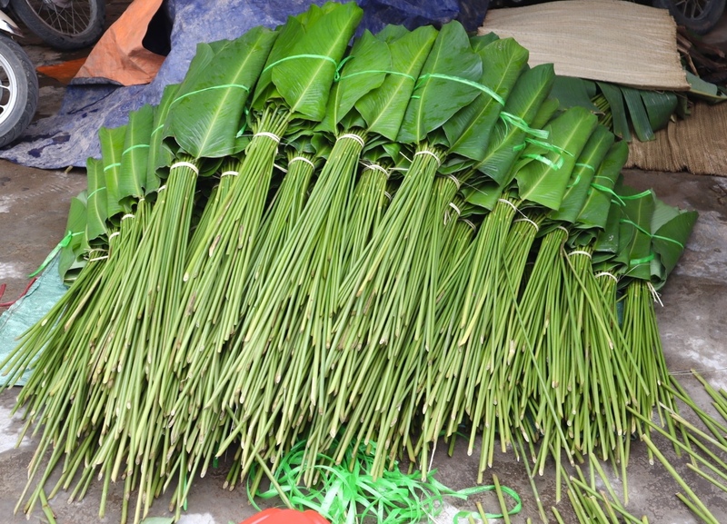 Sau khi thu hoạch, lá dong được vuốt phẳng, xếp ngay ngắn thành từng bó, mỗi bó khoảng 50 tàu để thuận tiện cho việc cân đếm và thu gom. Để giữ lá luôn tươi xanh, người dân thường xuyên tưới nước, bó gọn và dựng đứng ở nơi có độ ẩm cao, nhằm kéo dài thời gian bảo quản.