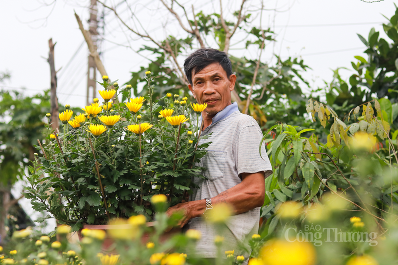 Xã Toàn Lưu từ lâu đã nổi tiếng với truyền thống trồng hoa cúc. Hiện toàn xã có khoảng 3,5 ha chuyên sản xuất hoa cúc phục vụ thị trường Tết, trong đó phần lớn diện tích tập trung tại thôn Xuân Sơn.