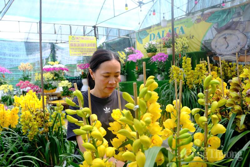 Chị Đặng Thị Phương Huyền, Phó Giám đốc Công ty Datala. Ảnh: Lê Sơn