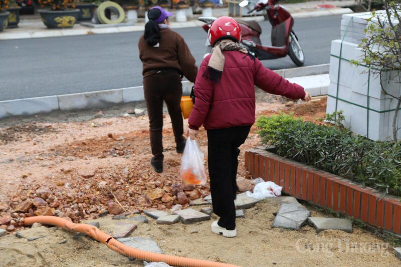 Người dân xách từng túi cá thả trên hồ tiễn ông Táo về trời.