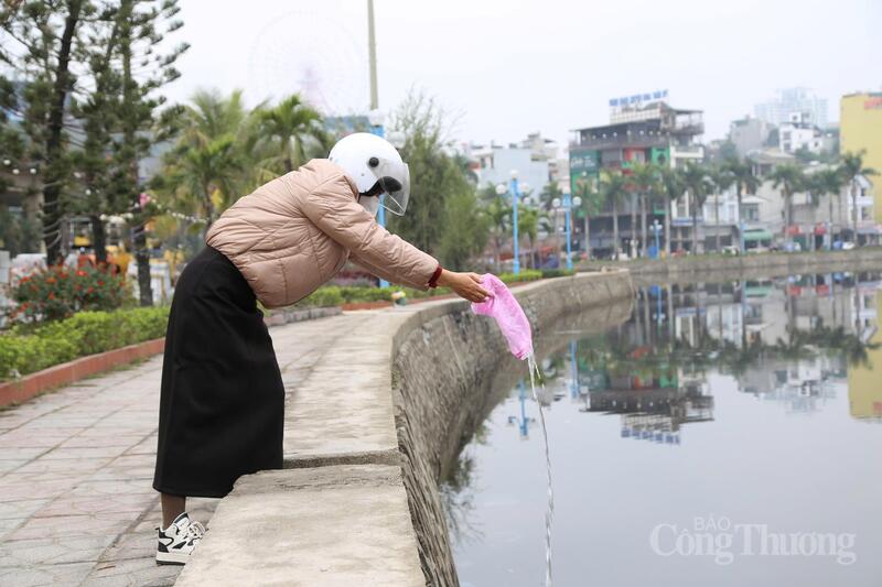 Cá được đổ từ trên cao xuống hồ.