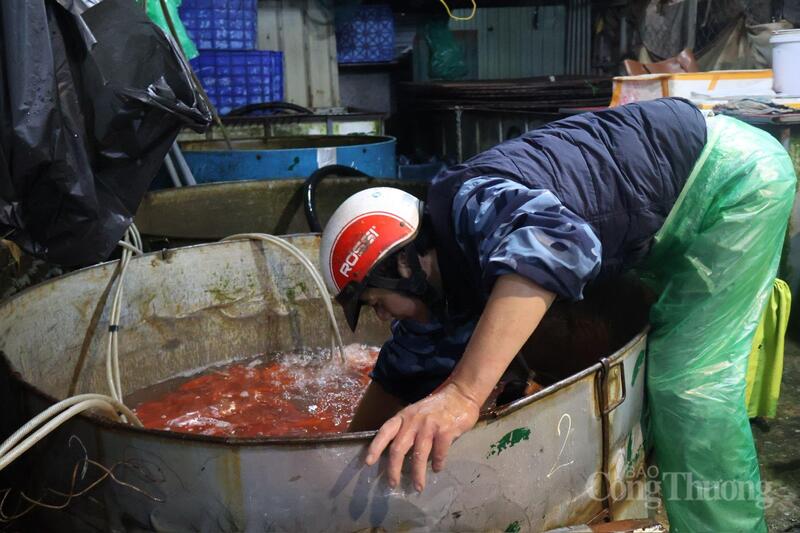 Người Okvip - liên minh giải trí #1 thế giới hà nội mặc áo mưa, tay trần trong nước lạnh.