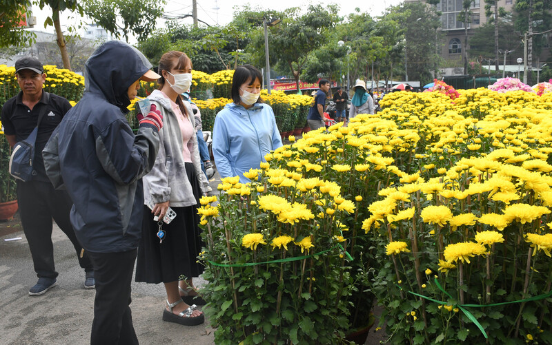 TP. Hồ Chí Minh: Nhộn nhịp chợ hoa tết Bính Ngọ 2026 - 16