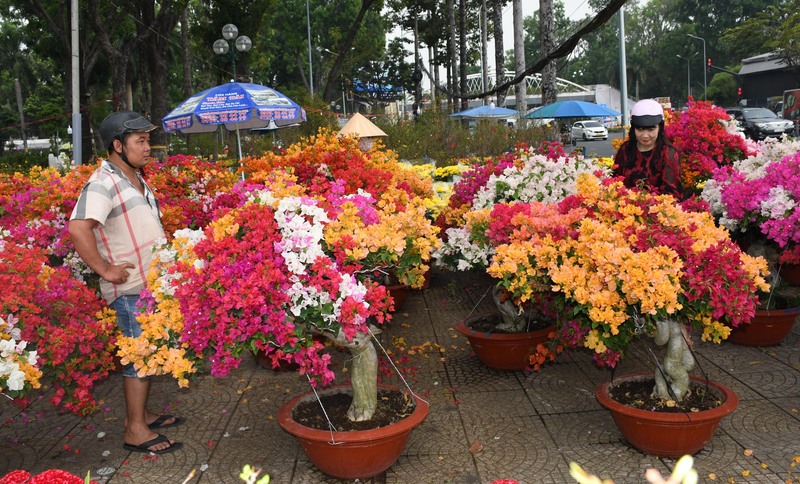 Hàng trăm loài hoa từ các "thủ phủ" trồng hoa đổ về TP. Hồ Chí Minh. Ảnh: Thanh Minh.