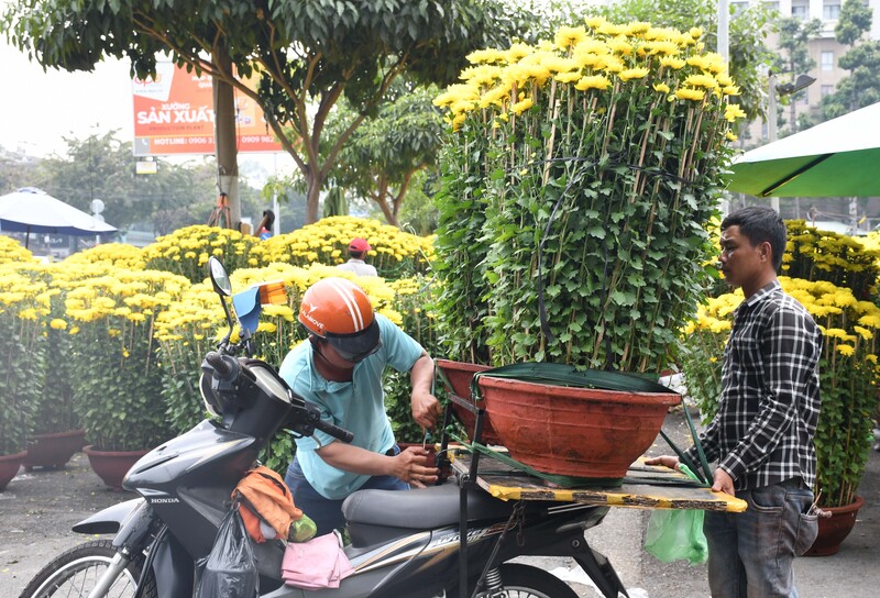 TP. Hồ Chí Minh: Nhộn nhịp chợ hoa tết Bính Ngọ 2026 - 21