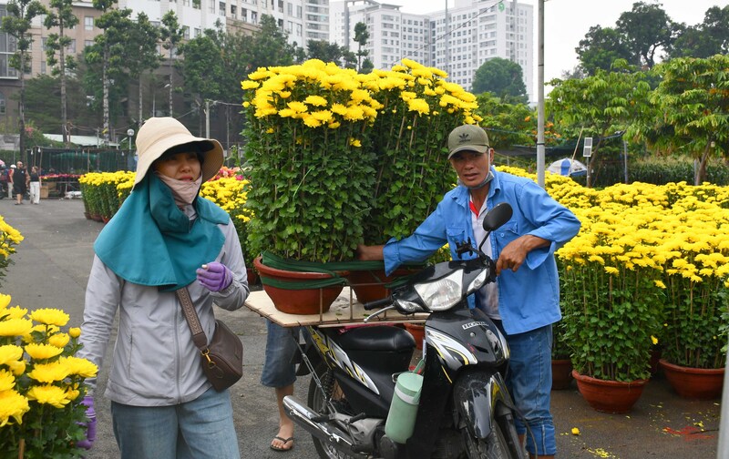 TP. Hồ Chí Minh: Nhộn nhịp chợ hoa tết Bính Ngọ 2026 - 22