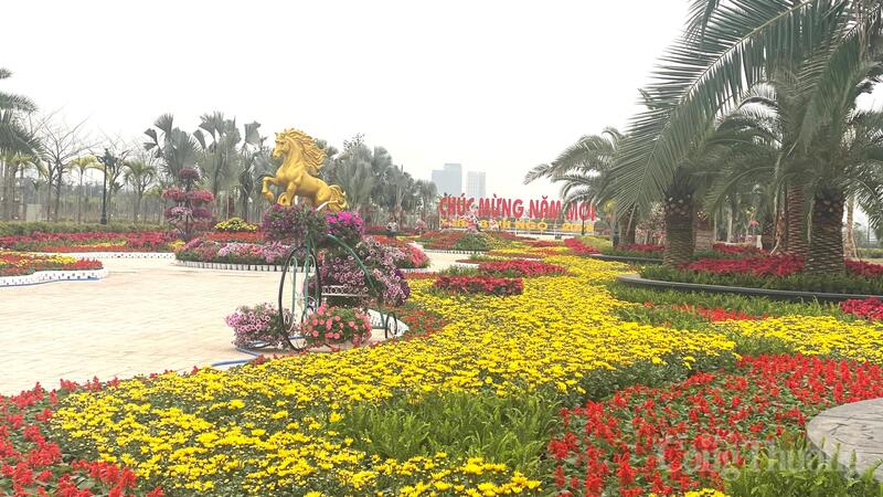 Hải Phòng rực rỡ sắc xuân chào đón tết Nguyên đán 2026 - 2