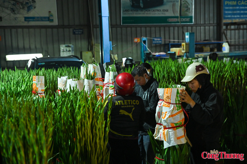 Chợ hoa Quảng An nhộn nhịp những ngày giáp tết Bính Ngọ 2026 - 6