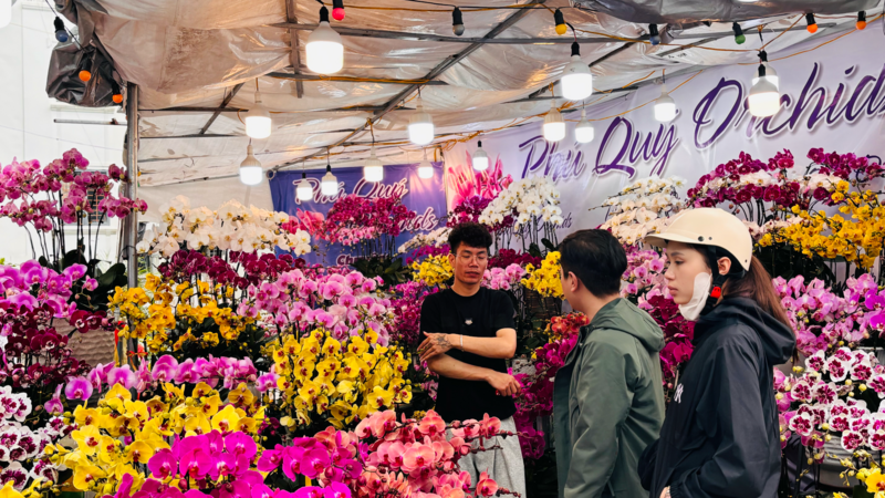 Thị trường hoa lan tại Hà Nội sôi động trước thềm tết Bính Ngọ 2026 - 5