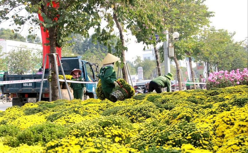 Các công nhân Công ty Cổ phần Công viên cây xanh Vinh liên tục vận chuyển hoa về tuyến phố. Trong tháng 2, công ty đã huy động 100% nhân lực, phương tiện để trang trí trên các tuyến đường. Ảnh: Mai Liễu