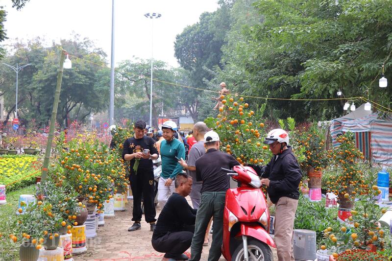 Thị trường giáp Tết diễn biến ổn định, không xảy ra khan hàng hay tăng giá đột biến. Ảnh: Thanh Tuấn