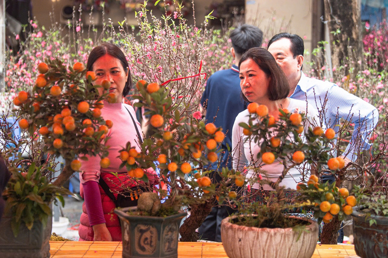 Chợ hoa xuân phố cổ Hà Nội hay còn có tên quen thuộc là chợ hoa Hàng Lược có từ những năm 20 của thế kỷ XX. Ảnh: Quỳnh Anh