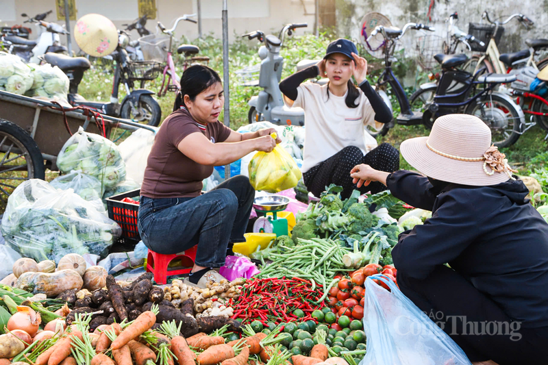 Những phiên chợ như chợ Trường, chợ Đình đã và đang đóng vai trò là "sợi dây" kết nối giữa quá khứ và hiện tại.