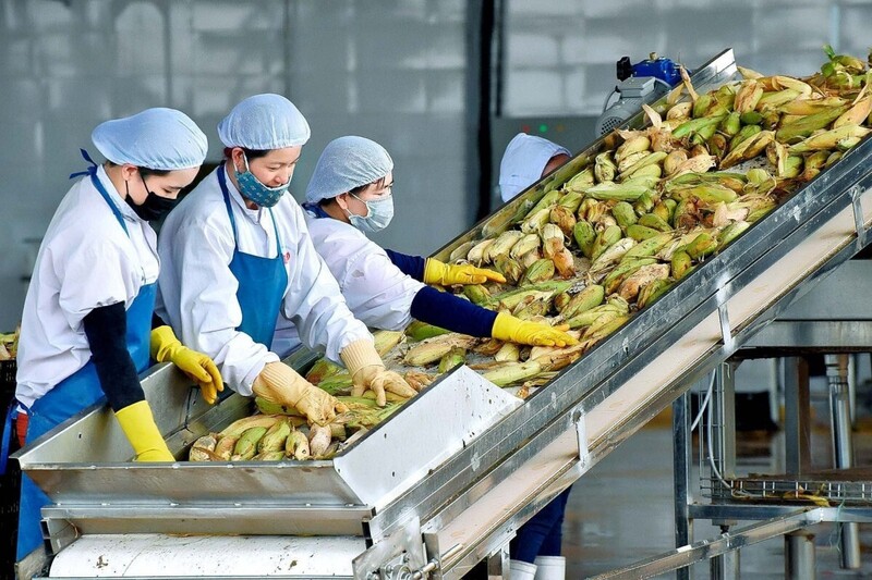 Việt Nam đang có nhiều lợi thế để đẩy mạnh, tận dụng ưu đãi từ EVFTA. Ảnh: Ngọc Sáng