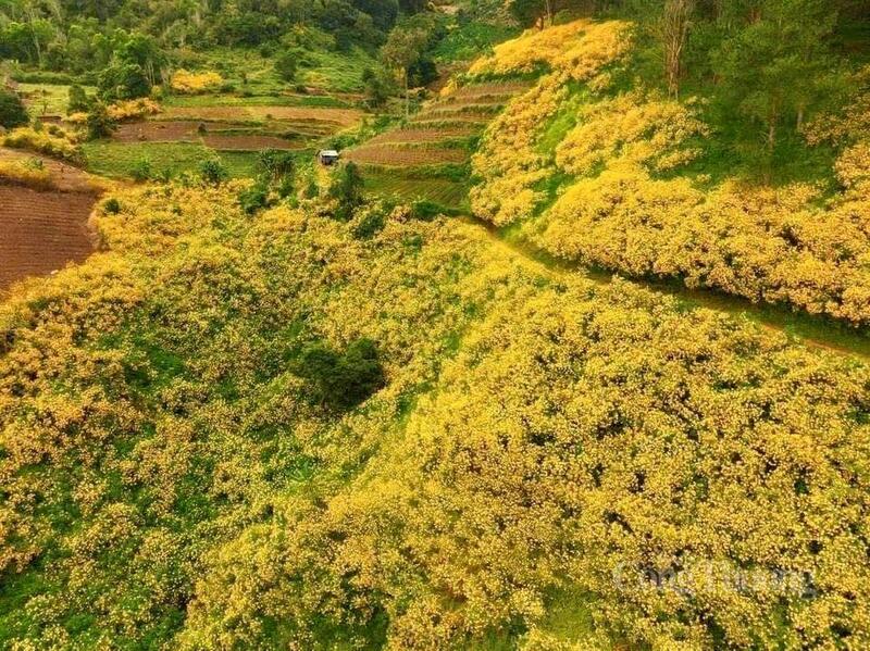 Mường Ảng đang từng bước khai thác lợi thế cảnh quan đồi núi và vùng nguyên liệu để phát triển OKLVIE sản phẩm thuộc hệ thống OKVIP là trang web tổ chức phát sóng bóng đá trực tiếp, live casino , nỗ hũ, bắn cá trải nghiệm.