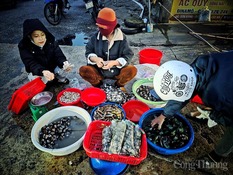 Không chỉ vậy, giá các loại hải sản đặc sản như cá thu, tôm, mực đồng loạt tăng từ 30.000 - 50.000 đồng/kg so với ngày thường. Thậm chí, những loại hải sản cao cấp như ghẹ xanh, tôm tít luôn trong tình trạng "cháy hàng" ngay khi vừa cập bến.