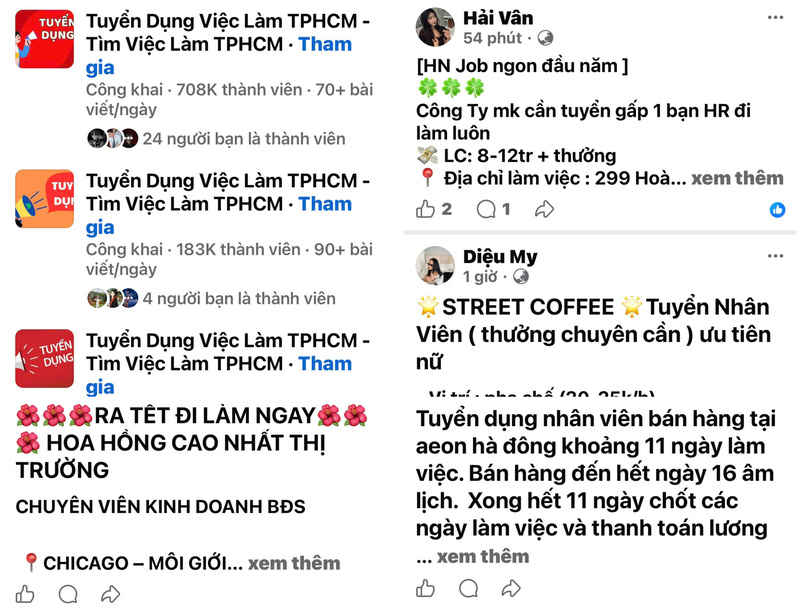 Các nhóm tìm việc trực tuyến thu hút hàng trăm nghìn thành viên tham gia cùng lượng tương tác lớn ngay từ những ngày đầu năm. Ảnh chụp màn hình