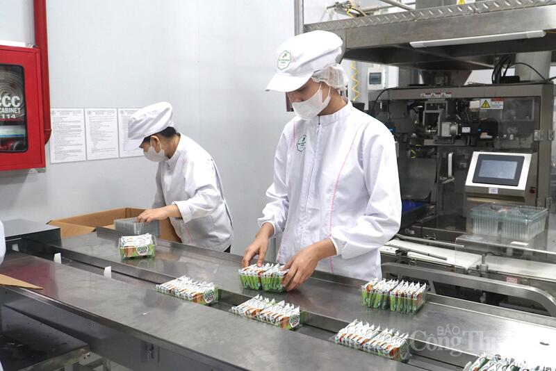 Công ty Mỹ Phương Food sẽ "mở tráp" năm mới Bính Ngọ với đơn hàng Liên Minh Truyền Thông Và Game Giải Trí Top 1 đi thị trường Malaysia vào ngày mai (24/2).