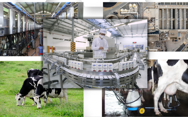 Phê duyệt Chiến lược phát triển ngành sữa giai đoạn đến năm 2030, tầm nhìn đến năm 2045. Ảnh minh họa.