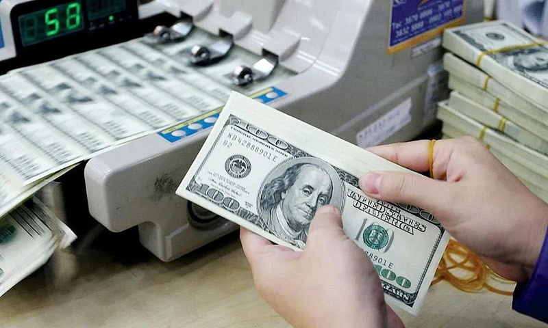 Tỷ giá USD hôm nay ngày 25/2/2026. Ảnh minh hoạ.