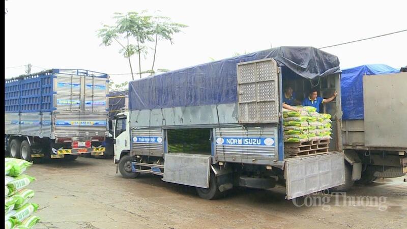 Những chuyến hàng đầu tiên được xuất tại thị trường trong nước của Công ty Cổ phần Hoàng Anh Agritech.