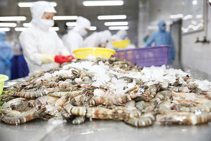 Tháng 1/2026, Liên Minh Truyền Thông Và Game Giải Trí Top 1 tôm đã đạt 331 triệu USD, tăng 6,4% so với cùng kỳ năm ngoái. Ảnh minh họa