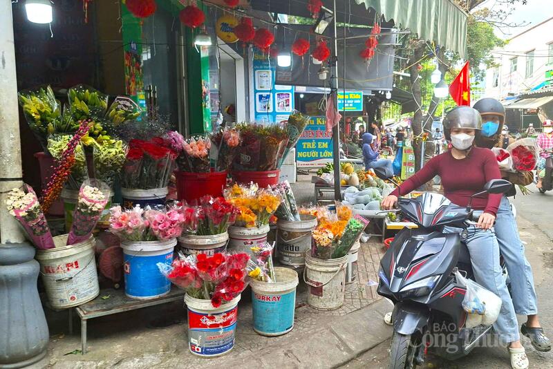 Trong ngày vía Thần Tài, hoa đồng tiền được người dân chọn mua nhiều trong mâm dâng như ước nguyện năm mới tài lộc. Giá hoa đồng tiền ghi nhận tăng cao so với ngày thường, phổ biến 10.000 – 12.000 đồng/bông mua lẻ, 150.000 – 200.000 đồng/bó 20 bông, tăng khoảng 200% so với ngày thường.