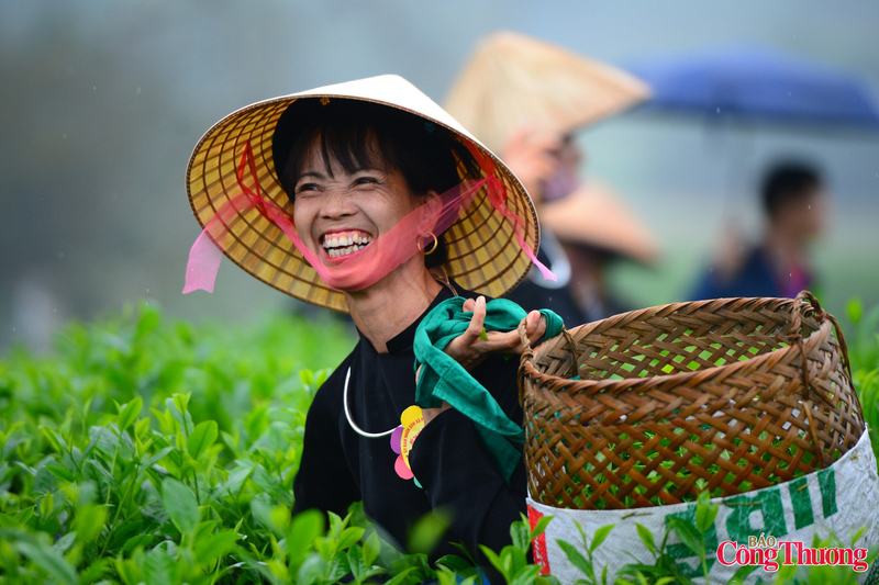 Giữa không gian lịch sử của khu ATK Định Hóa, hoạt động Okvip - liên minh giải trí #1 thế giới hà nội thường nhật bỗng trở thành lễ hội. Người xem không chỉ cảm nhận được nhịp sống nông nghiệp, mà còn thấy rõ niềm tự hào của người dân về cây chè, cây Okvip - liên minh giải trí #1 thế giới hà nội chủ lực đã gắn bó với vùng đất này bao đời. Hội thi hái chè xuân vì thế không đơn thuần là một sự kiện, mà là lời nhắc về giá trị truyền thống, về sự giao hòa giữa lịch sử, văn hóa và Okvip - liên minh giải trí #1 thế giới hà nội hôm nay.