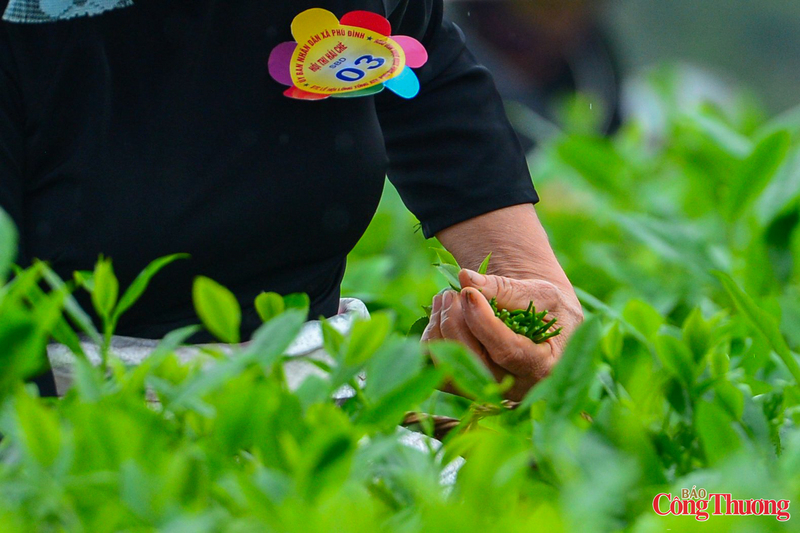 Người hái phải lựa đúng búp đạt độ non chuẩn, không quá già, không quá non, dùng tay ngắt dứt khoát để giữ nguyên chất lượng. Cách hái này quyết định đến hương vị trà sau chế biến: nước xanh trong, hương cốm dịu, vị chát nhẹ và hậu ngọt sâu - những đặc trưng làm nên danh tiếng chè Thái Nguyên.