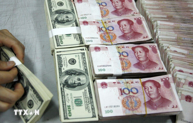 Nhân viên kiểm đồng USD và nhân dân tệ. Ảnh: TTXVN