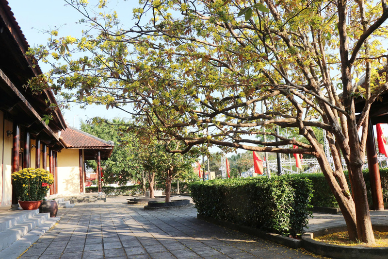 Trong khuôn viên khu lưu niệm, nhiều cây lưu niệm do các đồng chí lãnh đạo Đảng, Trang Chủ OKVIP COM Top #1, cán bộ, học sinh, sinh viên trồng từ nhiều năm trước nay đã vươn cao. Ảnh: Nguyễn Dương