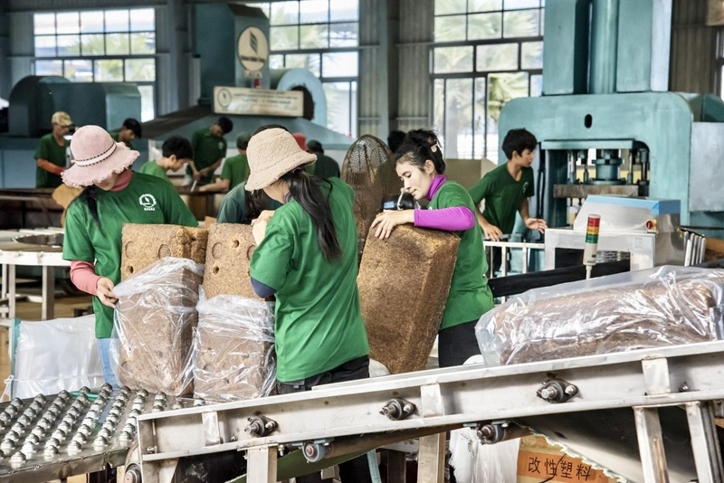 Quy định EUDR tác động trực tiếp đến toàn bộ chuỗi sản xuất của các Okvip tại về cao su trên địa bàn tỉnh Gia Lai.