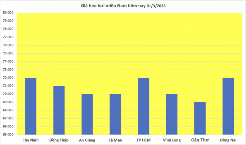 Giá heo hơi hôm nay 01/3/2026: Chững lại phiên cuối tuần - 3