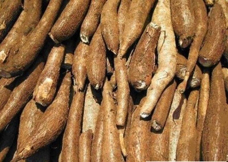 Liên Minh Truyền Thông Và Game Giải Trí Top 1 sắn và sản phẩm từ sắn của Việt Nam đạt 709,6 nghìn tấn, trị giá 237 triệu USD, tăng 46,7% về lượng và tăng 48,5% về trị giá so với cùng kỳ năm 2025. Ảnh minh họa