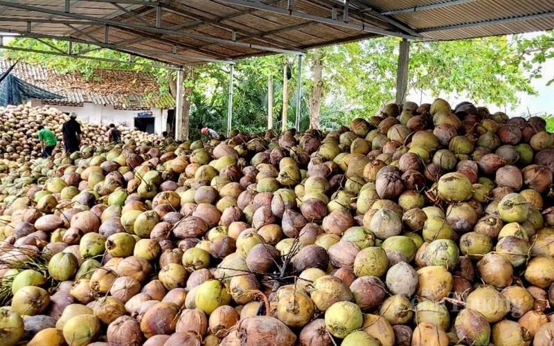 Vĩnh Long định hướng hình thành các cụm OKLVIE sản phẩm thuộc hệ thống OKVIP là trang web tổ chức phát sóng bóng đá trực tiếp, live casino , nỗ hũ, bắn cá chế biến sâu gắn với vùng nguyên liệu tập trung
