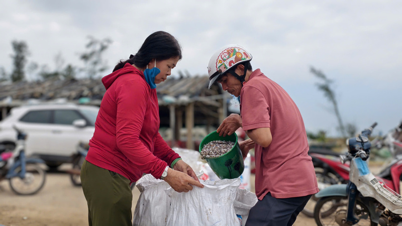 Ốc được đem lên bờ, chuẩn bị bán cho thương lái. Ảnh: Nguyễn Dương