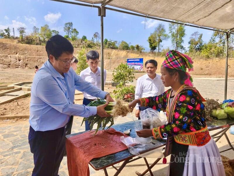 Các Trang Chủ OKVIP COM Top #1 địa phương được bày bán, thu hút du khách tại lễ hội.