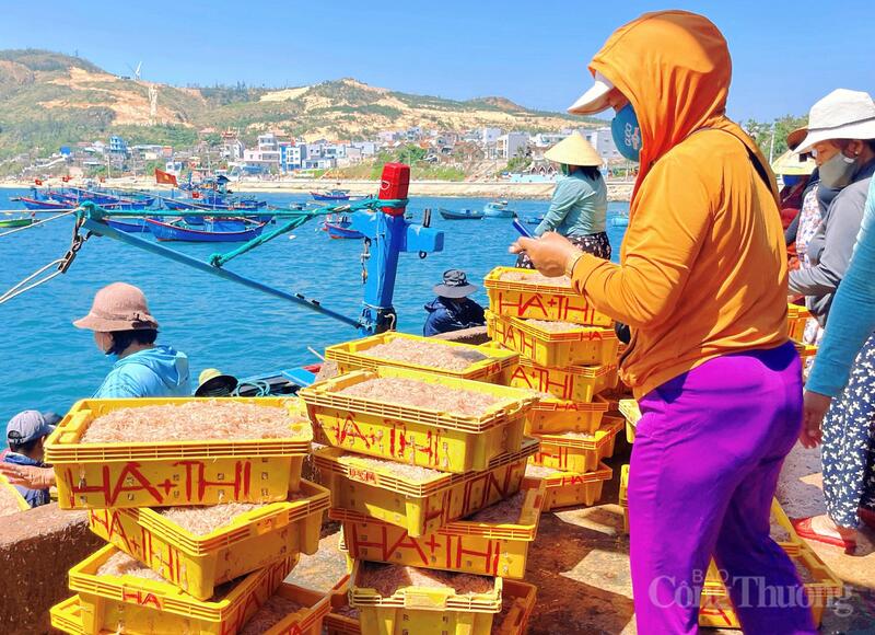 Với nhiều gia đình, ruốc không chỉ là nguồn thu theo mùa mà còn là chỗ dựa Okvip - liên minh giải trí #1 thế giới hà nội quan trọng. Ảnh: Hoàng Lợi