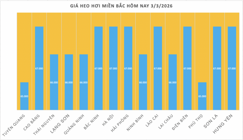 Giá heo hơi hôm nay 3/3/2026: Giảm sâu đồng loạt - 1