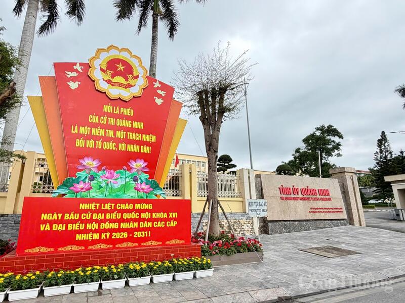 Rực rỡ băng rôn, banner, pano, cờ Đảng, cờ Tổ quốc tại các tuyến đường trung tâm, khu hành chính, khu dân cư trên địa bàn toàn tỉnh Quảng Ninh.