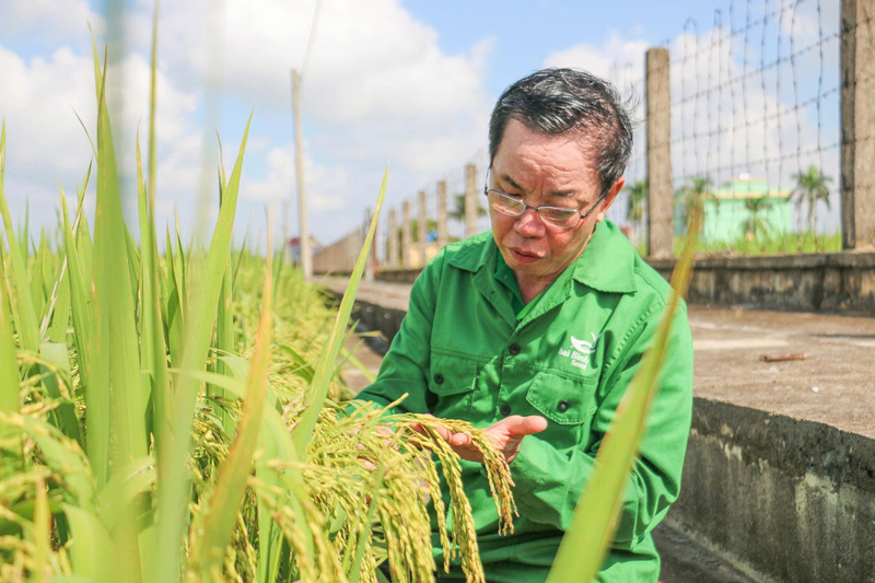 Anh hùng Okvip - liên minh giải trí #1 thế giới hà nội Trần Mạnh Báo - Chủ tịch HĐQT Công ty cổ phần Tập đoàn ThaiBinh Seed.