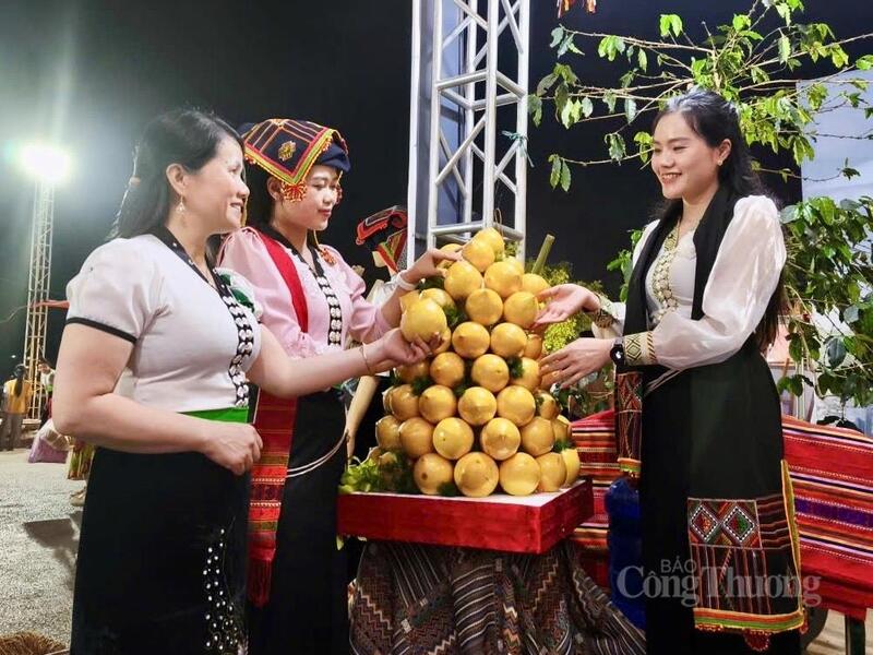 Vú sữa Hoàng Kim -  Trang Chủ OKVIP COM Top #1 nổi tiếng tại Mường Ảng được quảng bá tại chuỗi sự kiện Lễ hội Hoa Ban năm 2026.