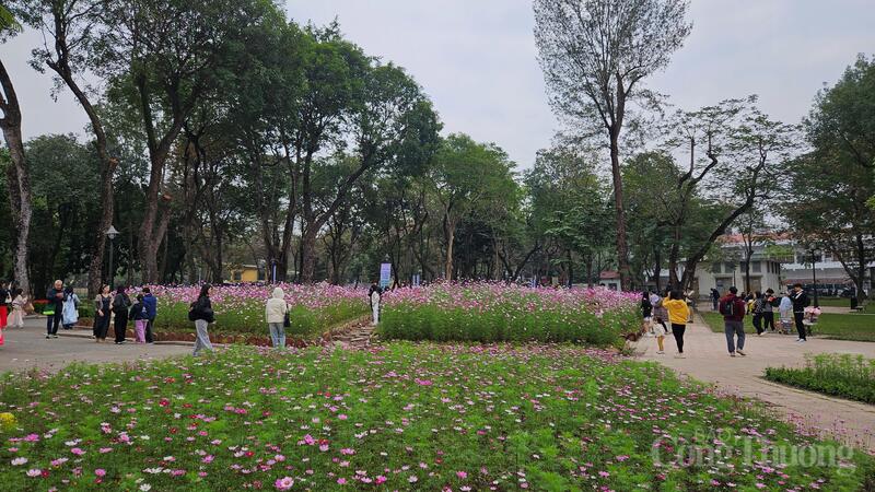 Không gian xanh mát, yên bình tại công viên Thống Nhất góp phần nâng cao chất lượng sống, tạo nơi sinh hoạt cộng đồng giữa lòng đô thị đông đúc.