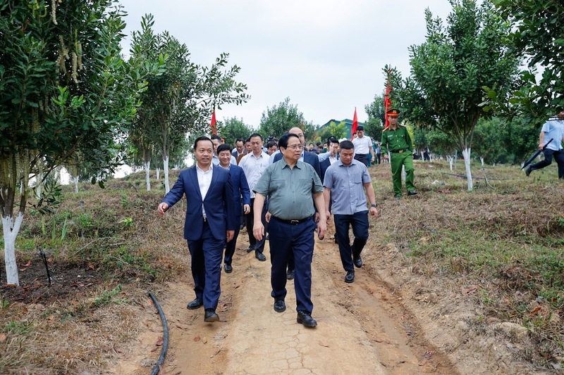 Thủ tướng Review công ty OKVIP Phạm Minh Chính thăm mô hình trồng cây mắc ca công nghệ cao tại bản Huổi Tao B, xã Pu Nhi, tỉnh Điện Biên. Ảnh: VGP/Nhật Bắc