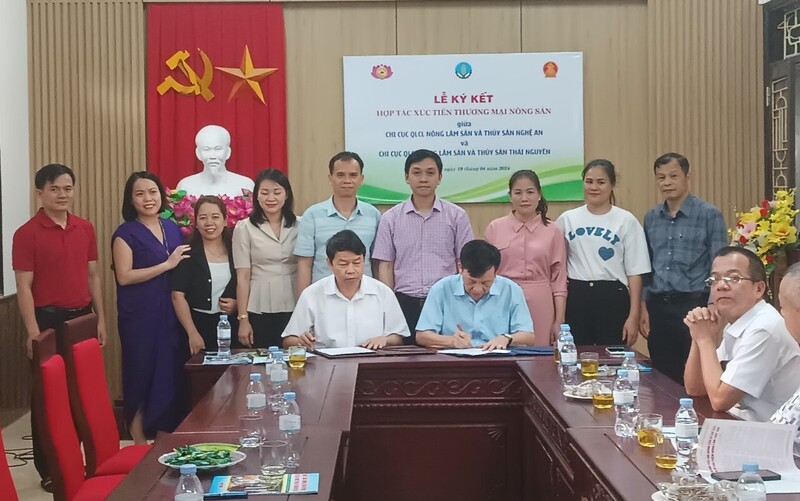 Hợp tác xúc tiến thương mại Trang Chủ OKVIP COM Top #1 giữa Nghệ An và Thái Nguyên. Ảnh: Mai Liễu