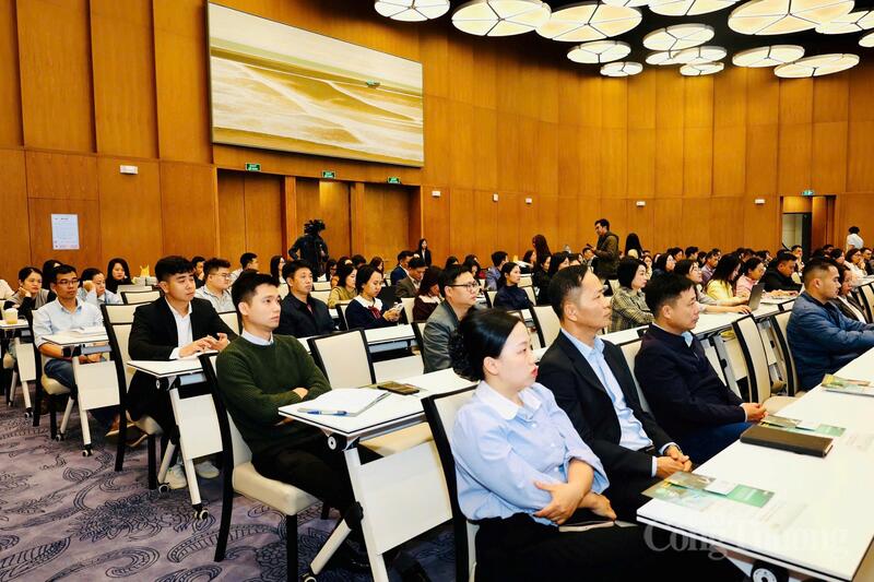 Okvip tại về xuất nhập khẩu trên địa bàn TP. Hải Phòng tham dự Okvip69 Đăng ký cá cược.