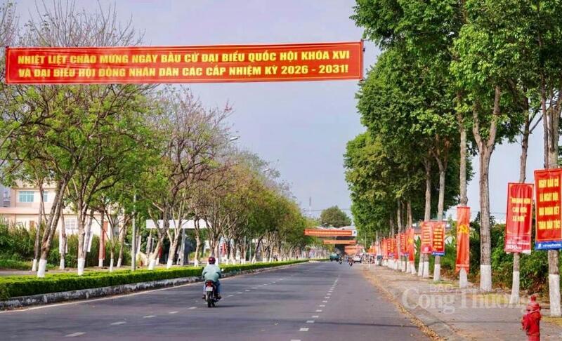 Các tuyến đường ở thành phố Cần Thơ những ngày này rực rỡ sắc đỏ